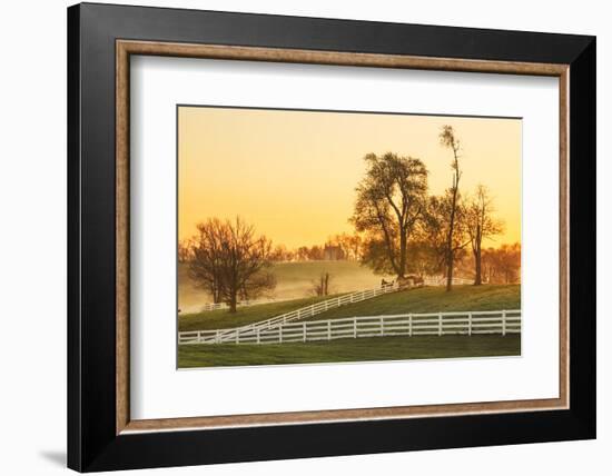 Horses at sunrise, Shaker Village of Pleasant Hill, Harrodsburg, Kentucky-Adam Jones-Framed Photographic Print