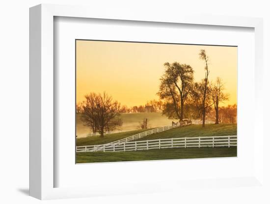 Horses at sunrise, Shaker Village of Pleasant Hill, Harrodsburg, Kentucky-Adam Jones-Framed Photographic Print