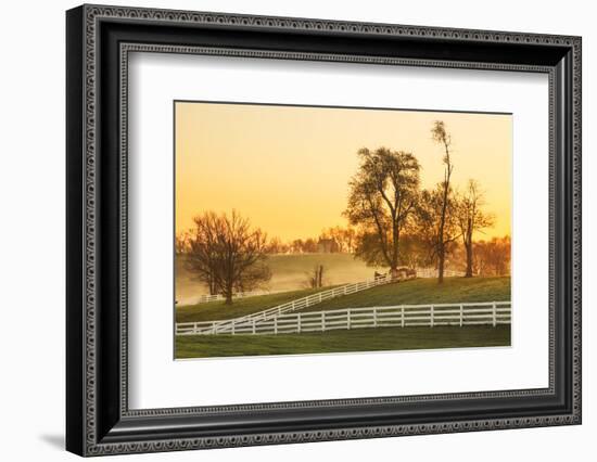 Horses at sunrise, Shaker Village of Pleasant Hill, Harrodsburg, Kentucky-Adam Jones-Framed Photographic Print