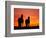 Horses at Sunset near Ranfurly, Maniototo, Central Otago-David Wall-Framed Photographic Print