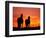 Horses at Sunset near Ranfurly, Maniototo, Central Otago-David Wall-Framed Photographic Print