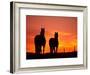 Horses at Sunset near Ranfurly, Maniototo, Central Otago-David Wall-Framed Photographic Print