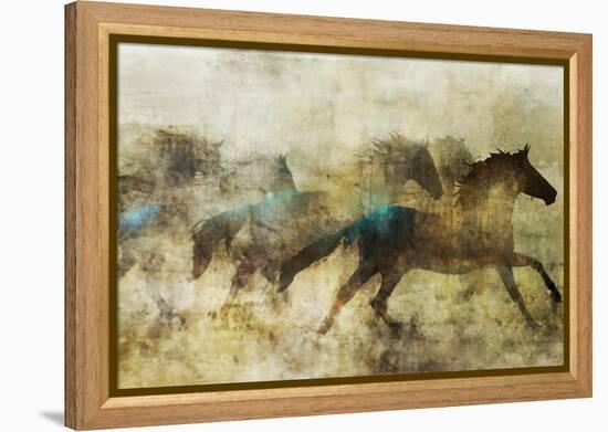 Horses, Beautiful and Free-Ken Roko-Framed Stretched Canvas