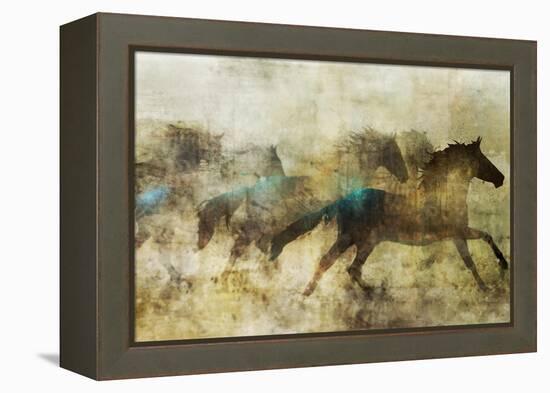 Horses, Beautiful and Free-Ken Roko-Framed Stretched Canvas