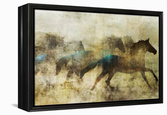 Horses, Beautiful and Free-Ken Roko-Framed Stretched Canvas