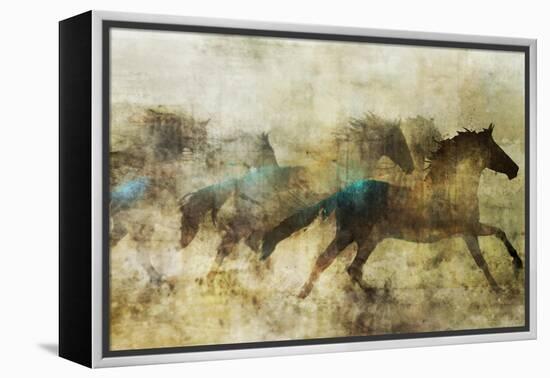 Horses, Beautiful and Free-Ken Roko-Framed Stretched Canvas