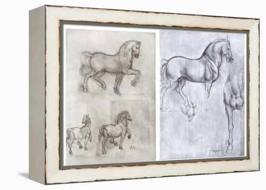 Horses, C1490-1510-Leonardo da Vinci-Framed Premier Image Canvas