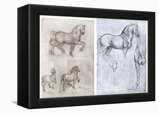 Horses, C1490-1510-Leonardo da Vinci-Framed Premier Image Canvas