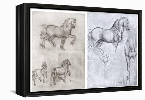 Horses, C1490-1510-Leonardo da Vinci-Framed Premier Image Canvas