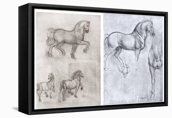 Horses, C1490-1510-Leonardo da Vinci-Framed Premier Image Canvas