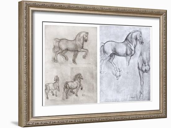 Horses, C1490-1510-Leonardo da Vinci-Framed Giclee Print