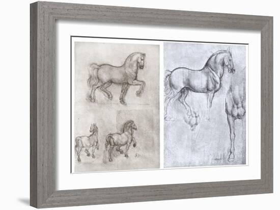 Horses, C1490-1510-Leonardo da Vinci-Framed Giclee Print