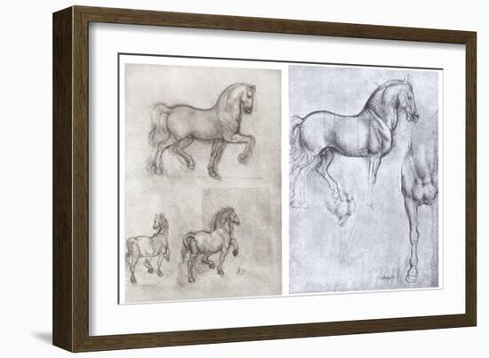 Horses, C1490-1510-Leonardo da Vinci-Framed Giclee Print