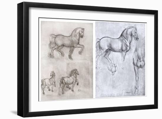 Horses, C1490-1510-Leonardo da Vinci-Framed Giclee Print