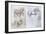 Horses, C1490-1510-Leonardo da Vinci-Framed Giclee Print