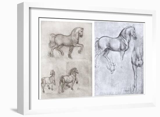 Horses, C1490-1510-Leonardo da Vinci-Framed Giclee Print