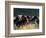 Horses Charge thru Pasture in Marion, Montana, USA-Chuck Haney-Framed Photographic Print