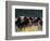 Horses Charge thru Pasture in Marion, Montana, USA-Chuck Haney-Framed Photographic Print