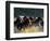 Horses Charge thru Pasture in Marion, Montana, USA-Chuck Haney-Framed Photographic Print