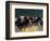 Horses Charge thru Pasture in Marion, Montana, USA-Chuck Haney-Framed Photographic Print