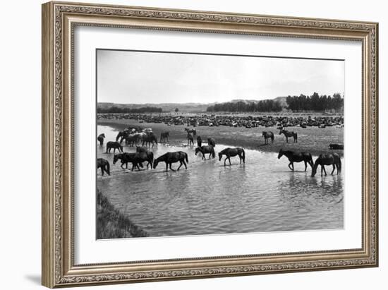 Horses Crossing the River at Round-Up Camp-L.a. Huffman-Framed Art Print