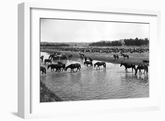 Horses Crossing the River at Round-Up Camp-L.a. Huffman-Framed Art Print