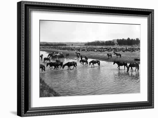Horses Crossing the River at Round-Up Camp-L.a. Huffman-Framed Art Print