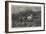 Horses Escaping from a Fire-Adolf Schreyer-Framed Giclee Print