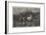 Horses Escaping from a Fire-Adolf Schreyer-Framed Giclee Print