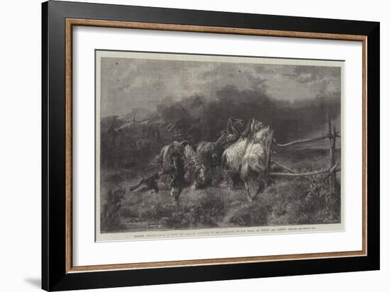 Horses Escaping from a Fire-Adolf Schreyer-Framed Giclee Print