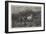 Horses Escaping from a Fire-Adolf Schreyer-Framed Giclee Print