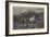 Horses Escaping from a Fire-Adolf Schreyer-Framed Giclee Print