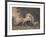 Horses Fighting-George Stubbs-Framed Premium Giclee Print