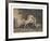 Horses Fighting-George Stubbs-Framed Premium Giclee Print