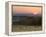 Horses Graze at Sunrise, Provence, France-Jim Zuckerman-Framed Premier Image Canvas