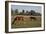 Horses Graze On Farmland In Rural Alabama-Carol Highsmith-Framed Art Print