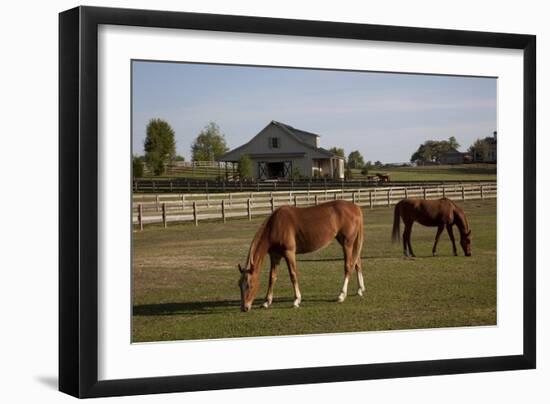 Horses Graze On Farmland In Rural Alabama-Carol Highsmith-Framed Art Print