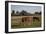 Horses Graze On Farmland In Rural Alabama-Carol Highsmith-Framed Art Print