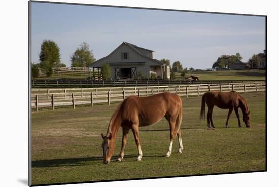 Horses Graze On Farmland In Rural Alabama-Carol Highsmith-Mounted Art Print