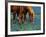 Horses Grazing Among Bluebonnets-Darrell Gulin-Framed Photographic Print