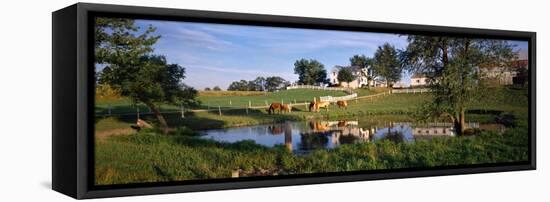 Horses Grazing at a Farm, Amish Country, Indiana, USA-null-Framed Premier Image Canvas