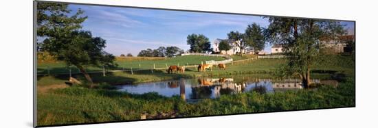 Horses Grazing at a Farm, Amish Country, Indiana, USA-null-Mounted Photographic Print