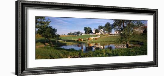 Horses Grazing at a Farm, Amish Country, Indiana, USA-null-Framed Photographic Print