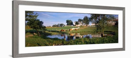 Horses Grazing at a Farm, Amish Country, Indiana, USA-null-Framed Photographic Print