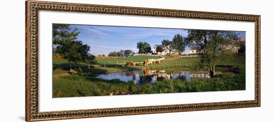 Horses Grazing at a Farm, Amish Country, Indiana, USA-null-Framed Photographic Print