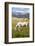 Horses Grazing at Bitterroot Ranch, Dubois, Wyoming, Usa-John Warburton-lee-Framed Photographic Print