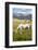 Horses Grazing at Bitterroot Ranch, Dubois, Wyoming, Usa-John Warburton-lee-Framed Photographic Print