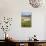 Horses Grazing at Bitterroot Ranch, Dubois, Wyoming, Usa-John Warburton-lee-Photographic Print displayed on a wall