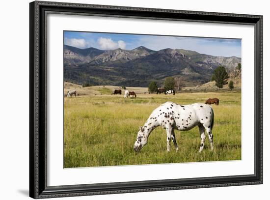 Horses Grazing at Bitterroot Ranch, Dubois, Wyoming, Usa-John Warburton-lee-Framed Photographic Print