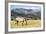 Horses Grazing at Bitterroot Ranch, Dubois, Wyoming, Usa-John Warburton-lee-Framed Photographic Print